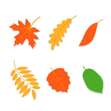 dağınık parlak yaprağı ağaçları sonbahar arka plan