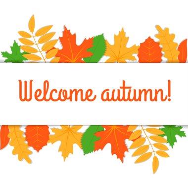 dağınık parlak yaprağı ağaçları sonbahar arka plan