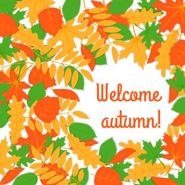 dağınık parlak yaprağı ağaçları sonbahar arka plan