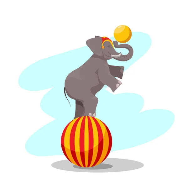 Circus Performance Elephant Large Ball Ball Trunk Dug Animal — Stock Vector