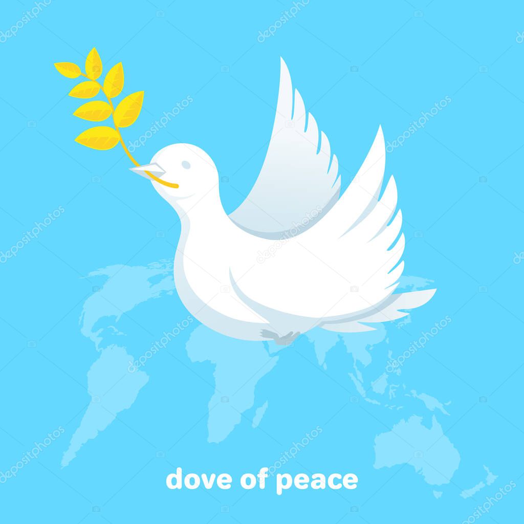 flat vector image on blue background, white dove of peace, map