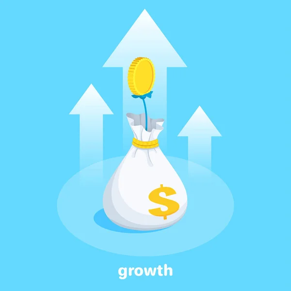 青い背景の等角ベクトル画像 お金の袋 お金の木の茎が成長し 経済成長 — ストックベクタ