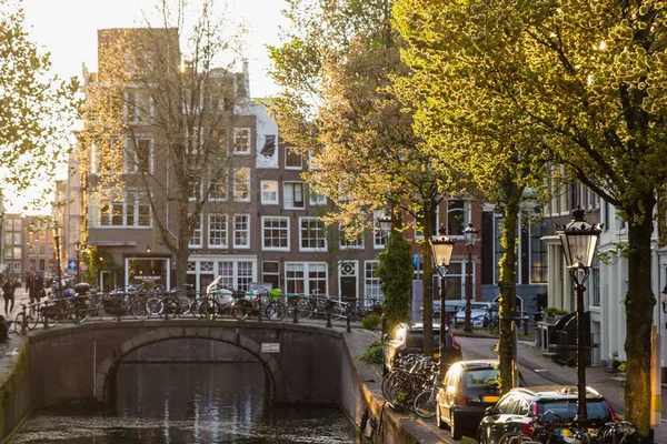 Luz de otoño en la calle de Amsterdam — Foto de Stock