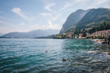 Kuzey İtalya 'nın Lombardy bölgesinde Menaggio kasabası yakınlarında Como Gölü' nün parlak mavi sularında yüzen bir grup ördek.