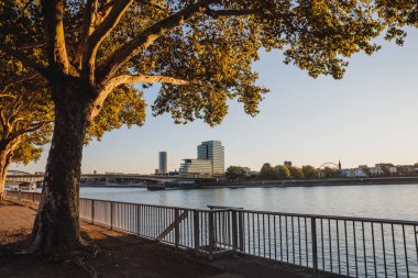 Modern Alman mimarisi, güneş ışığı altında Köln 'de Rhein nehrinin yanındaki cam binalar.