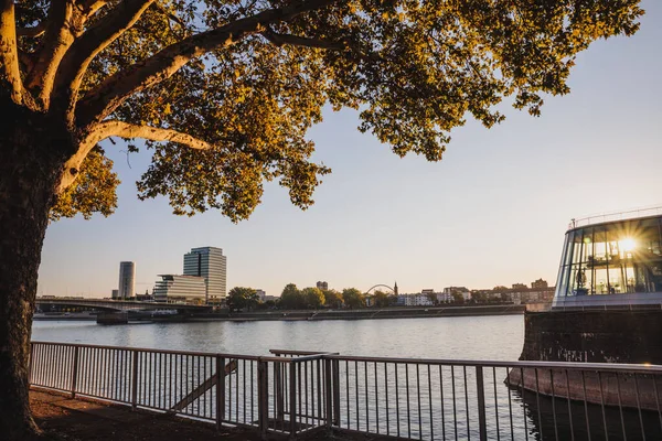 Modern Alman mimarisi, güneş ışığı altında Köln 'de Rhein nehrinin yanındaki cam binalar.