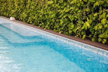 Açık mavi yüzme anketinin yakınındaki yeşil canlı santrallerin duvarı