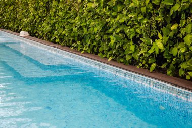 Açık mavi yüzme anketinin yakınındaki yeşil canlı santrallerin duvarı