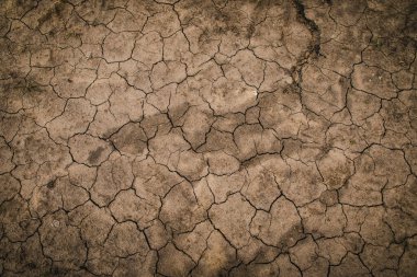 Çorak, kavrulmuş, kuru toprak desenli arka plan