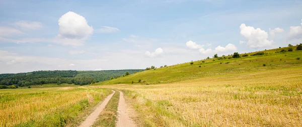 Sentiero Panoramico Campo Verde Estivo Con Sfondo Cielo Blu Paesaggio — Foto Stock