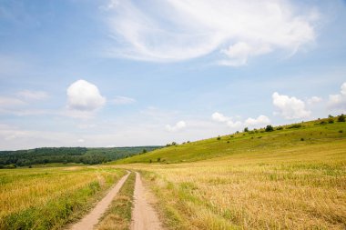Yeşil yaz tarlasında mavi gökyüzü arka planıyla manzara Ukrayna kırsal doğasının yaz manzarası