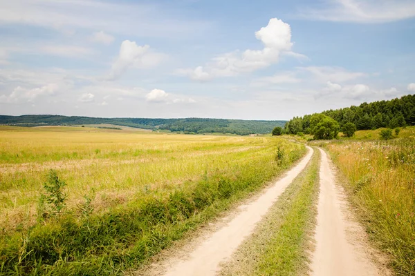 Sentiero Panoramico Campo Verde Estivo Con Sfondo Cielo Blu Paesaggio — Foto Stock