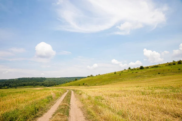 Yeşil Yaz Tarlasında Mavi Gökyüzü Arka Planıyla Manzara Ukrayna Kırsal — Stok fotoğraf
