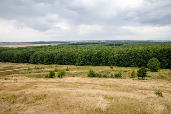 Vista Panoramica Areale Verdi Boschi Estivi Nel Villaggio Pidkamin Ucraina — Foto Stock