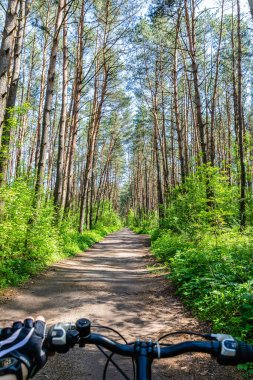 Bisiklet eldivenleri, direksiyon simidi, yeşil çam ağacı ormanlarında yaz yolu, arka planda aktif spor.