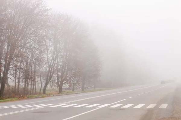 Thick Misty Fog Crosswalk Road Traffic Danger Way Autumn Mist — Stock Photo, Image