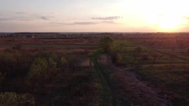 Yeşil çimen yolunun gün batımındaki yaz tarlasında çekilmiş güzel bir hava aracı videosu.