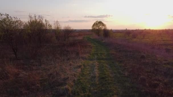 Belle Vidéo Aérienne Panoramique Drone Route Herbe Verte Dans Champ — Video