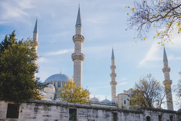 İstanbul, Türkiye 'deki Süleyman Camii' nin manzarası, dini mekan, minareler ve mavi gökyüzü