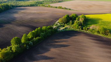 Kara tarım arazisi ve yeşil ağaçlar insansız hava aracının hava manzarası, yukarıdan güzel doğal doku arkaplanı.