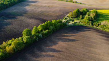 Kara tarım arazisi ve yeşil ağaçlar insansız hava aracının hava manzarası, yukarıdan güzel doğal doku arkaplanı.