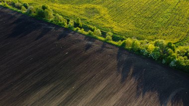 Kara tarım arazisi ve yeşil ağaçlar insansız hava aracının hava manzarası, yukarıdan güzel doğal doku arkaplanı.