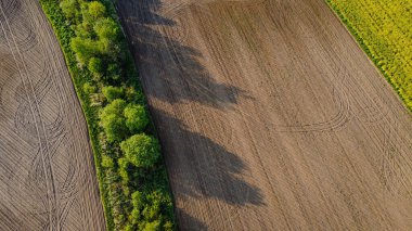Kara tarım arazisi ve yeşil ağaçlar insansız hava aracının hava manzarası, yukarıdan güzel doğal doku arkaplanı.