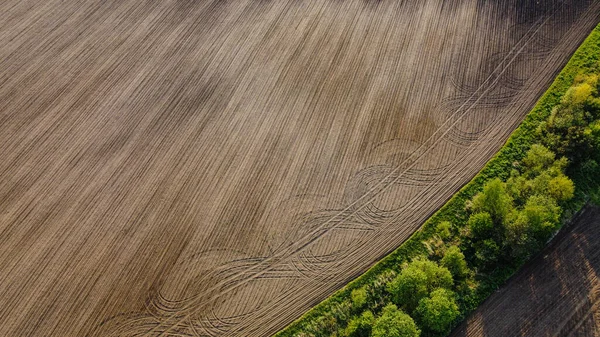 Czarne Pole Rolnicze Zielone Drzewa Widok Lotu Ptaka Piękne Naturalne — Zdjęcie stockowe