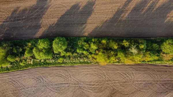 Czarne Pole Rolnicze Zielone Drzewa Widok Lotu Ptaka Piękne Naturalne — Zdjęcie stockowe