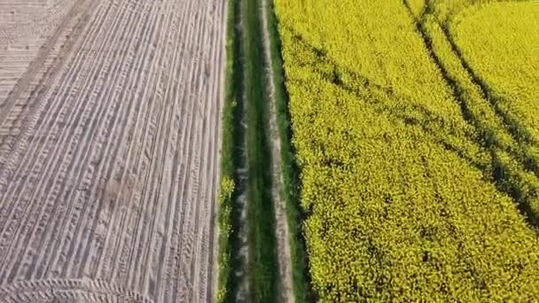 Luchtfoto op gele koolzaadvelden en zwarte cultuurgrond — Stockvideo