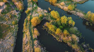 Yukarıdan küçük kırsal nehirler ve orman ağaçları üzerindeki güzel hava manzarası, gün batımında yaz suları manzarası.