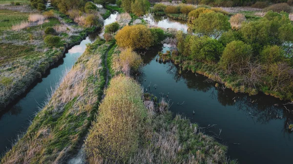 Bella Vista Aerea Piccoli Fiumi Rurali Alberi Della Foresta Dall — Foto Stock