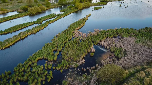 Bela Vista Aérea Pequenos Rios Rurais Árvores Florestais Cima Paisagem — Fotografia de Stock