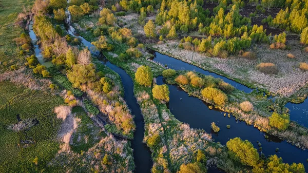 Piękny Widok Lotu Ptaka Małe Rzeki Wiejskie Drzewa Leśne Góry — Zdjęcie stockowe