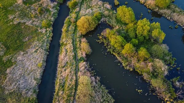 Bella Vista Aerea Piccoli Fiumi Rurali Alberi Della Foresta Dall — Foto Stock