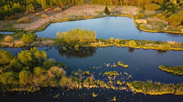 Vacker Flygbild Små Lantliga Floder Och Skogsträd Uppifrån Sommarvatten Landskap — Stockfoto