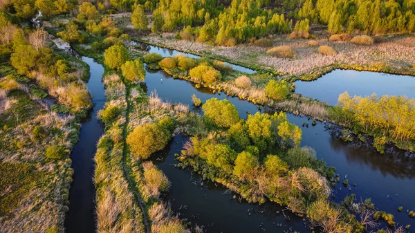 Vacker Flygbild Små Lantliga Floder Och Skogsträd Uppifrån Sommarvatten Landskap — Stockfoto