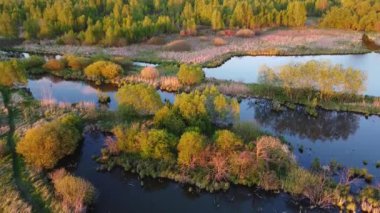 küçük kırsal nehirlerin havadan görünüşü 