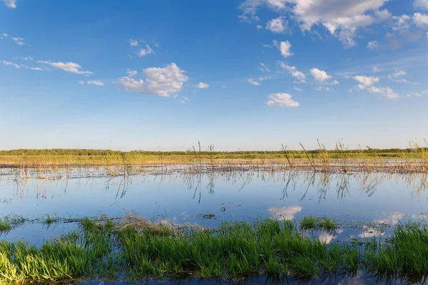 Paisaje Estanque Pantanoso Con Reflejo Sobre Agua Cielo Azul Horizontal — Foto de Stock