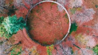 Sonbahar arabasının gökyüzü manzarası. Sonbahar ormanında hava manzaralı kır yolu. Orman yolu drone görüntüsü.