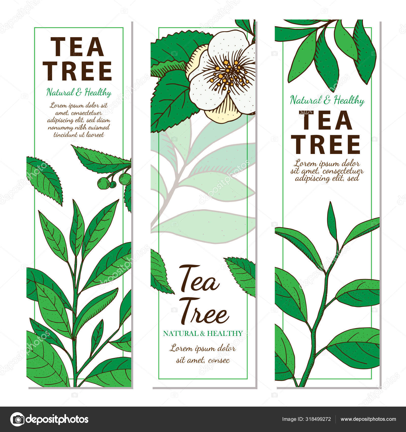 Featured image of post Vector Tea Tree Illustration