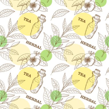 Çay ağacı. Vektör el, klasik deamless desen. Botanik 