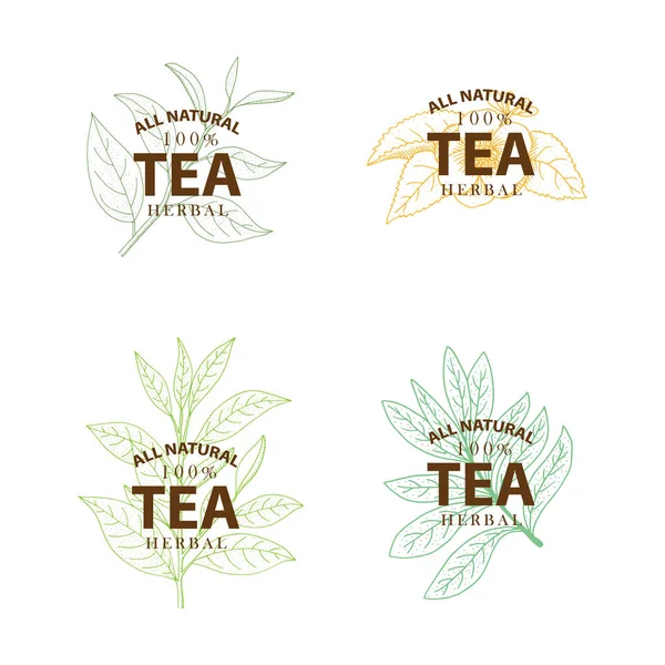 Tea Tree. Ensemble d'étiquettes vintage dessinées à la main vectorielles isolées sur wh — Image vectorielle