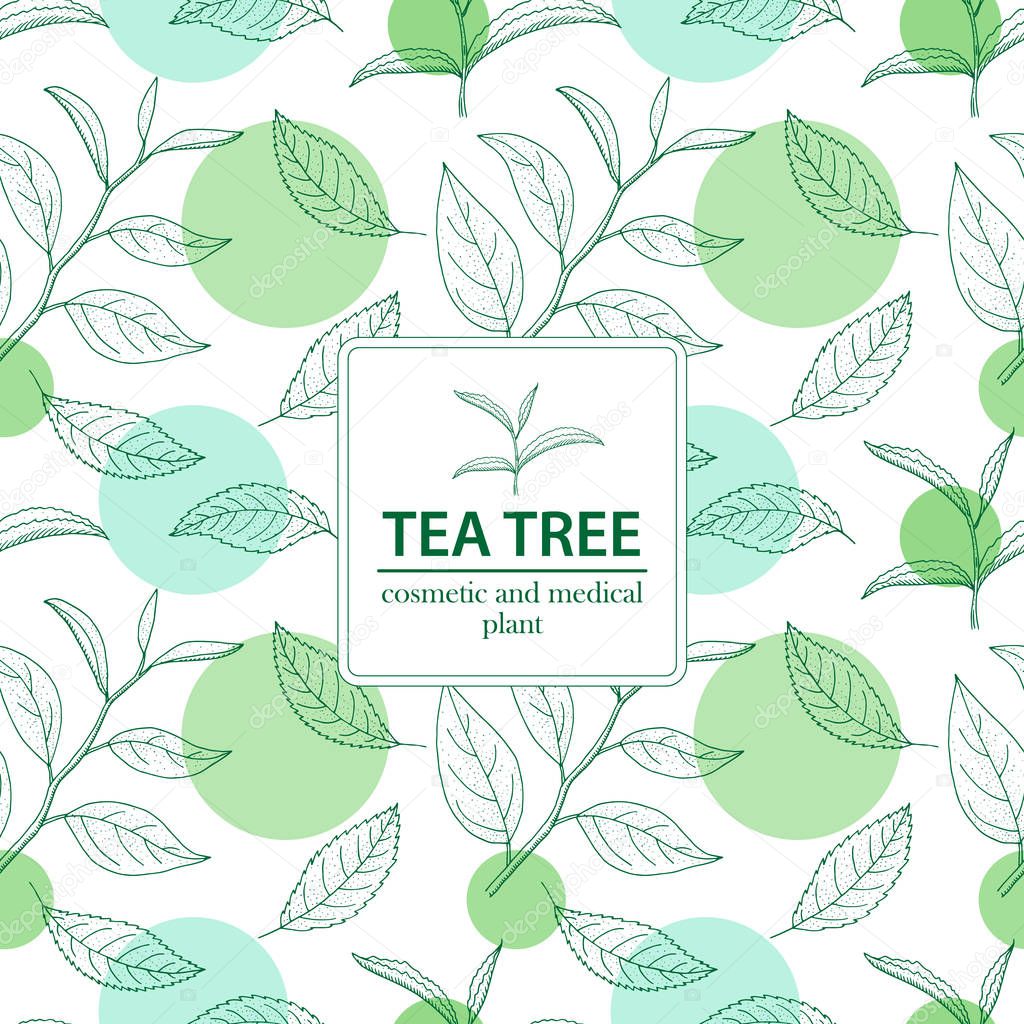 Tea Tree. Vector hand drawn vintage deamless pattern. Botanical 