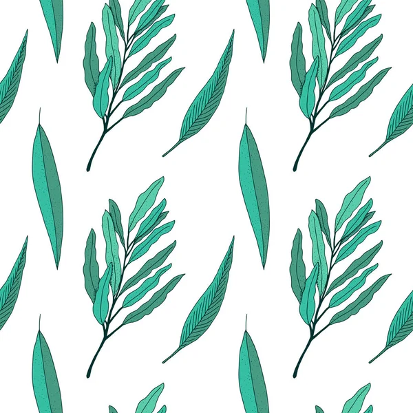 Eucalyptus. Vector hand drawn vintage seamless pattern. Botanica — Stock Vector