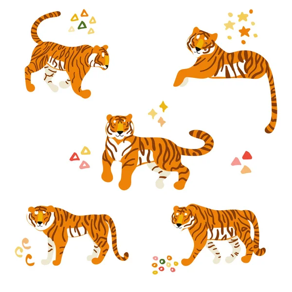 Tigres. Conjunto de ilustraciones de animales planos dibujados a mano vectoriales. Carro — Vector de stock