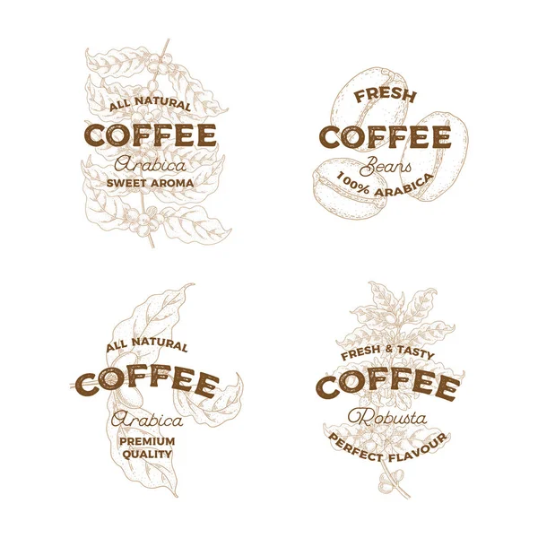Kawa. Zestaw ręcznie rysowanych logotypów vintage. Godło botaniczne. Szkice — Wektor stockowy
