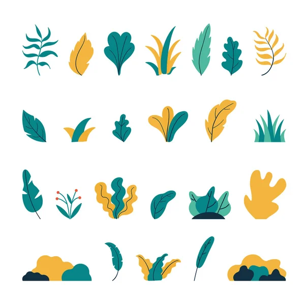 Plantas exóticas. Conjunto de vectores dibujados a mano planos compuestos botánicos — Vector de stock