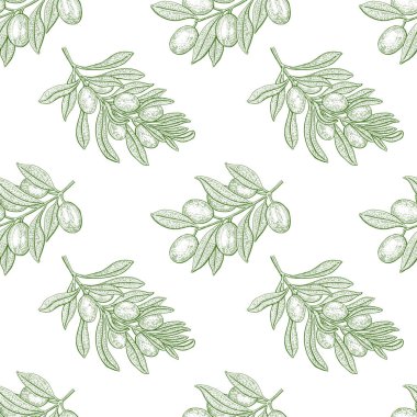 Zeytin ağacı. Kusursuz desen. Klasik botanik vektör el çizimi i