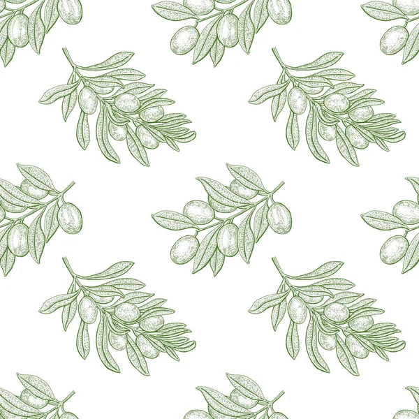 Zeytin ağacı. Kusursuz desen. Klasik botanik vektör el çizimi i
